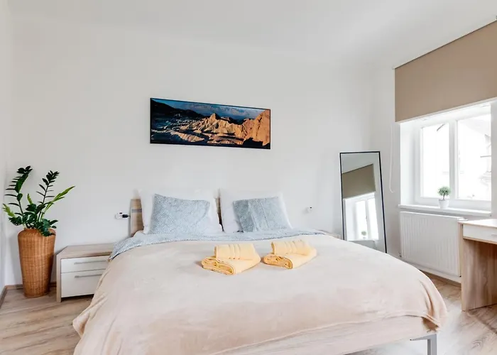 Modern, Bright And Spacious Apartment
