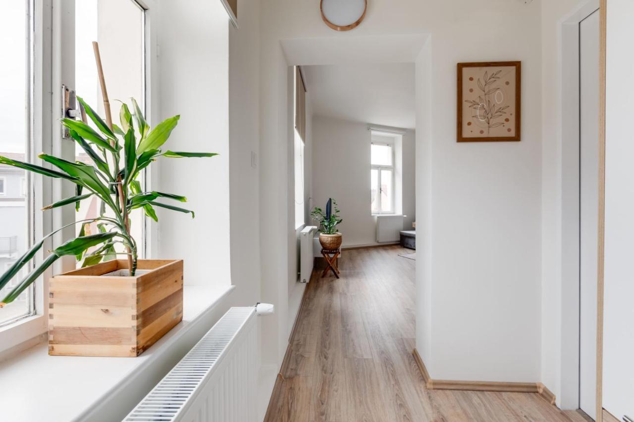 Modern, Bright And Spacious Apartamento